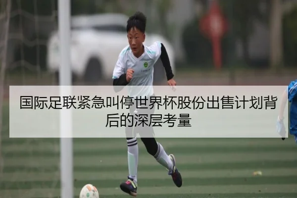 国际足联紧急叫停世界杯股份出售计划背后的深层考量